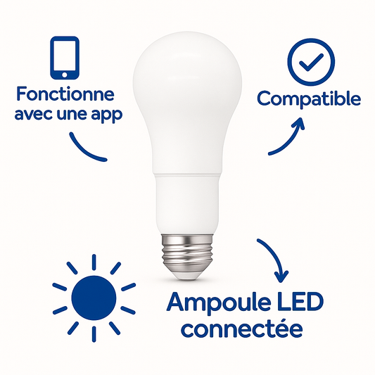 Lot AMPOULE+